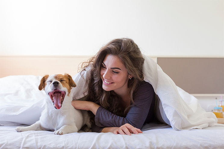 Puppy Dental Care