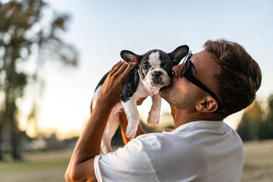 How To Stop Puppy Biting